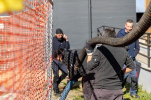 ditta spurghi industriali milano